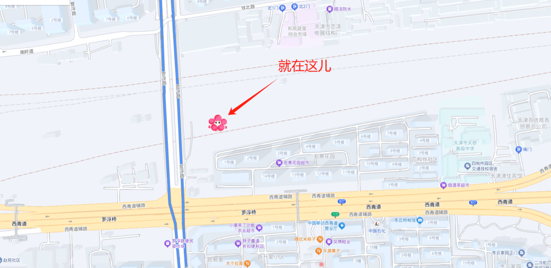 底试运行！这里现轮胎杀手！店铺被撬锁开灯！金价创新高！b体育入口寒潮！大风降温！