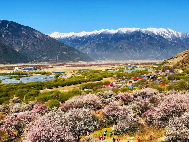 目的地季节舒适风光宜人去了就不想走bsport体育适合春天旅游的8个(图3)