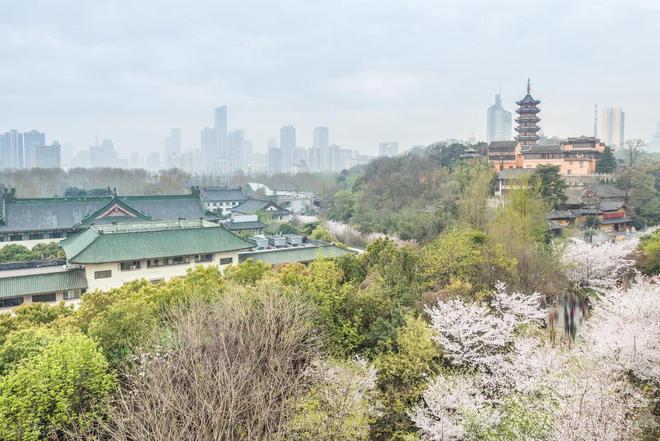目的地季节舒适风光宜人去了就不想走bsport体育适合春天旅游的8个(图8)