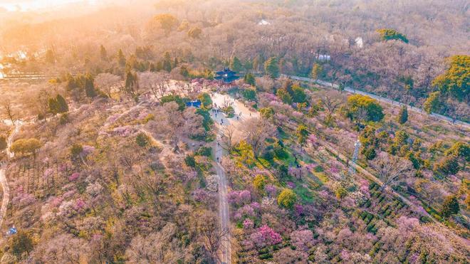 目的地季节舒适风光宜人去了就不想走bsport体育适合春天旅游的8个(图12)